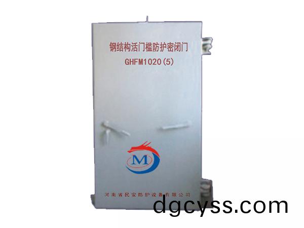 鋼(gang)結構活門檻單扇防護密閉門