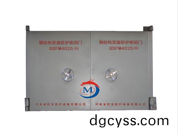 鋼(gang)結(jie)構(gou)雙(shuang)扇防(fang)護(hu)密閉(bi)門